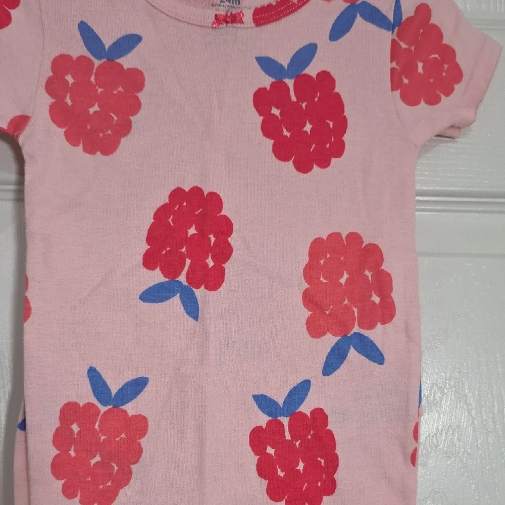 Carter's Pink and Red Floral Pajama Set